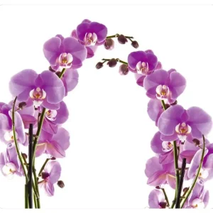 Darmowa dostawa Szklana płyta ochronna ORCHID FLOWER na kuchenkę – duża, WENKO