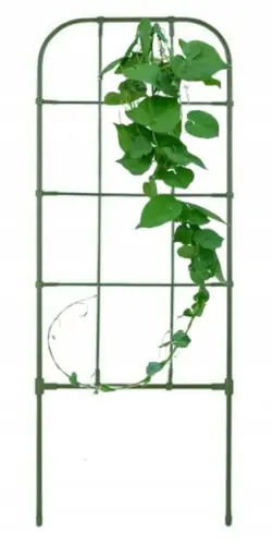 Oferta Podpora do roślin pnących zielona 75 cm