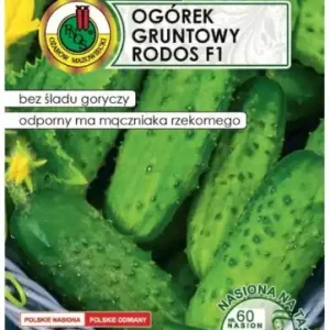Ogórek Rodos F1 6m taśmy z nawozem Platnacote Średnio wczesna odmiana Nie przegap