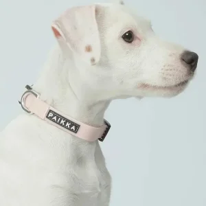 Hit cenowy PAIKKA obroża fluorescencyjna dla psa Glow Collar 17 x 2 x 0,5 cmkolor różowy 1032013