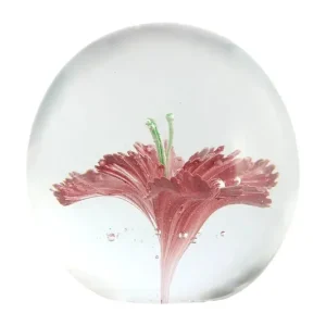 Bestseller Light & Living figurka dekoracyjna ze szkła 8 x 8 xm7621489