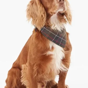 Barbour bandana dla pupila Tartan Dogkolor brązowy Wyjątkowa oferta