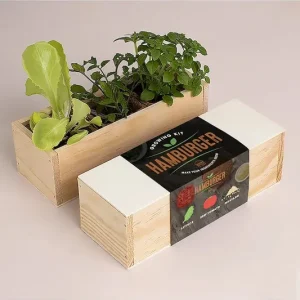 Wysoka jakość RESETEA zestaw do uprawy roślin Hamburger Growing Kit 21 x 7,8 x 6,5 cmkolor multicolor