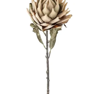 Bloomingville sztuczne kwiaty Protea Stem 76 cmkolor multicolor Promocja