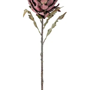 Bloomingville sztuczna roślina Protea Stem 76 cmkolor multicolor Tylko do końca tygodnia